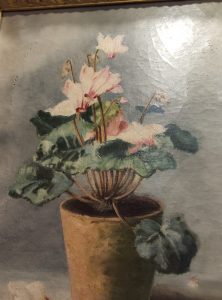 quadro antico con vaso fiori ciclamini