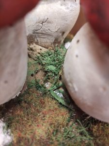 scultura didattica funghi antica